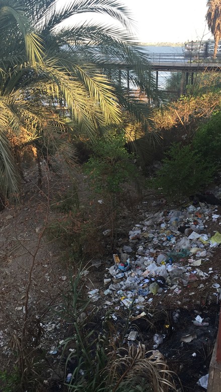 7- حشائش وقمامة على النيل