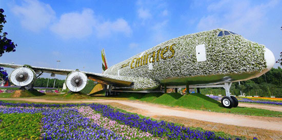 تقدم أكبر مجسم طائرة حقيقى لطيران الإمارات من الزهور