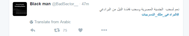 رواد تويتر يطالبون بسحب الجنسية من البرادعى