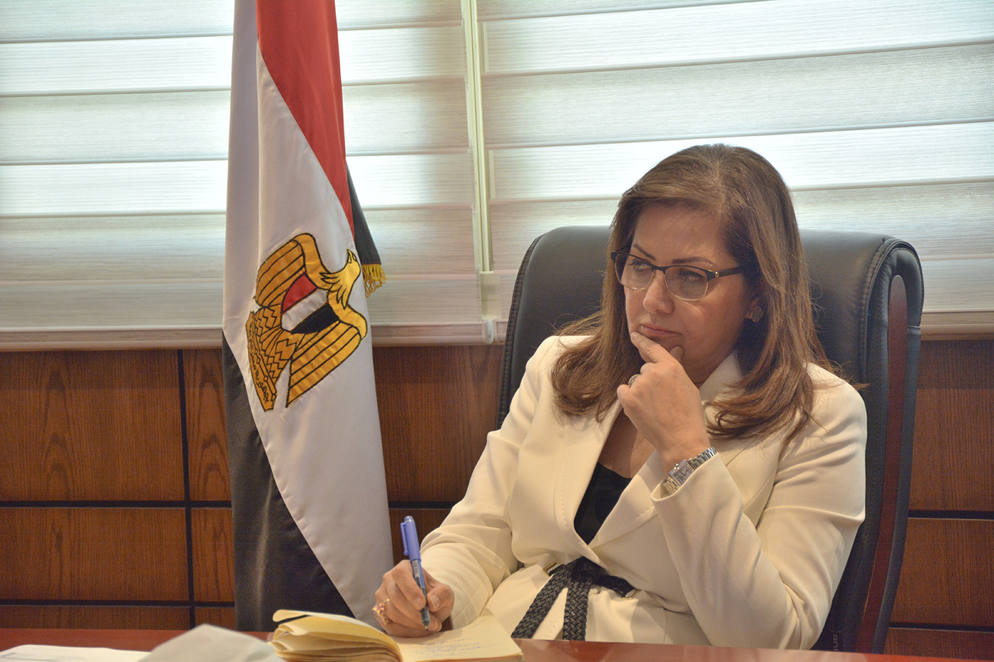 وزيرة التخطيط وزيرة التخطيط