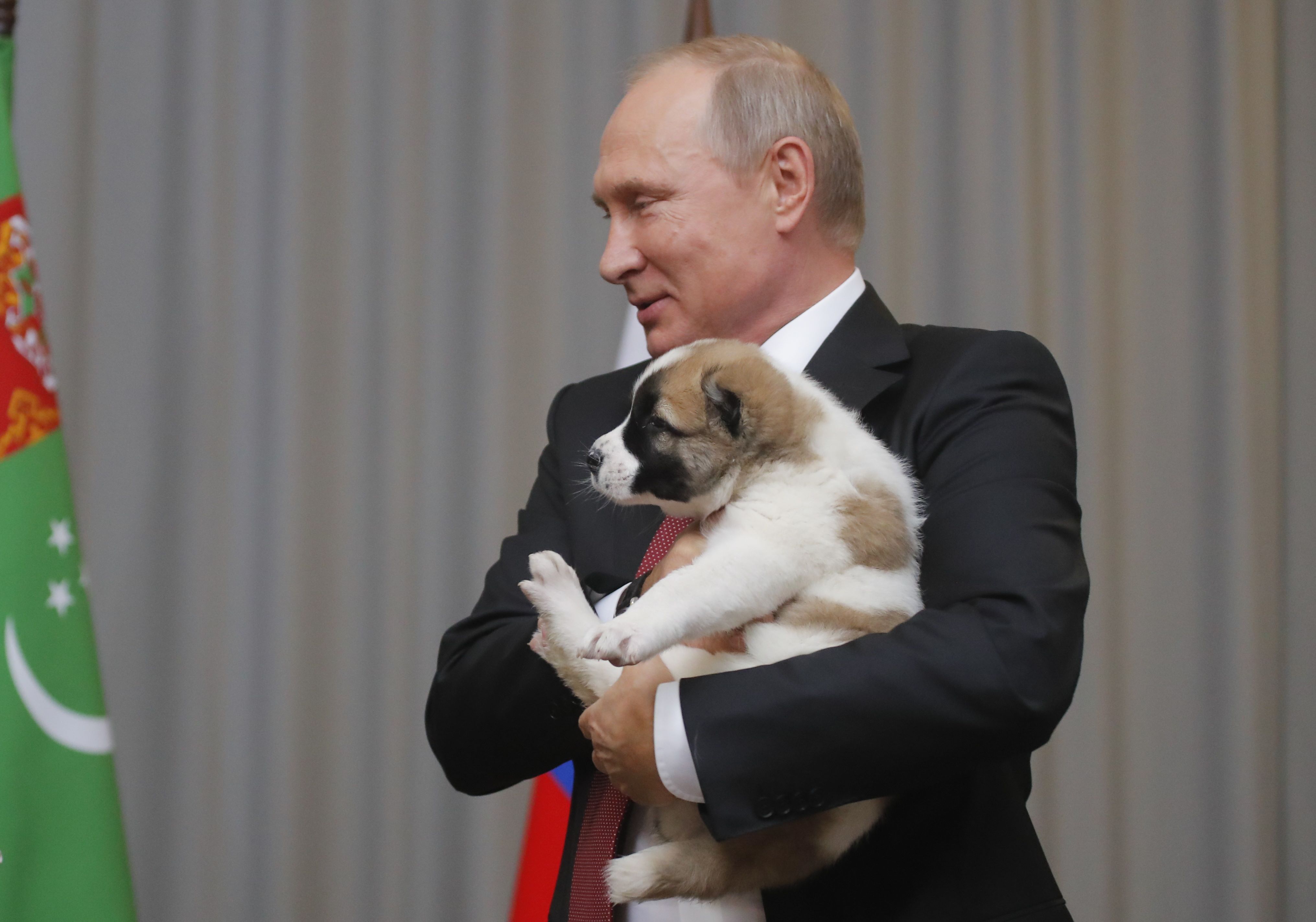 بوتين يحمل الكلب