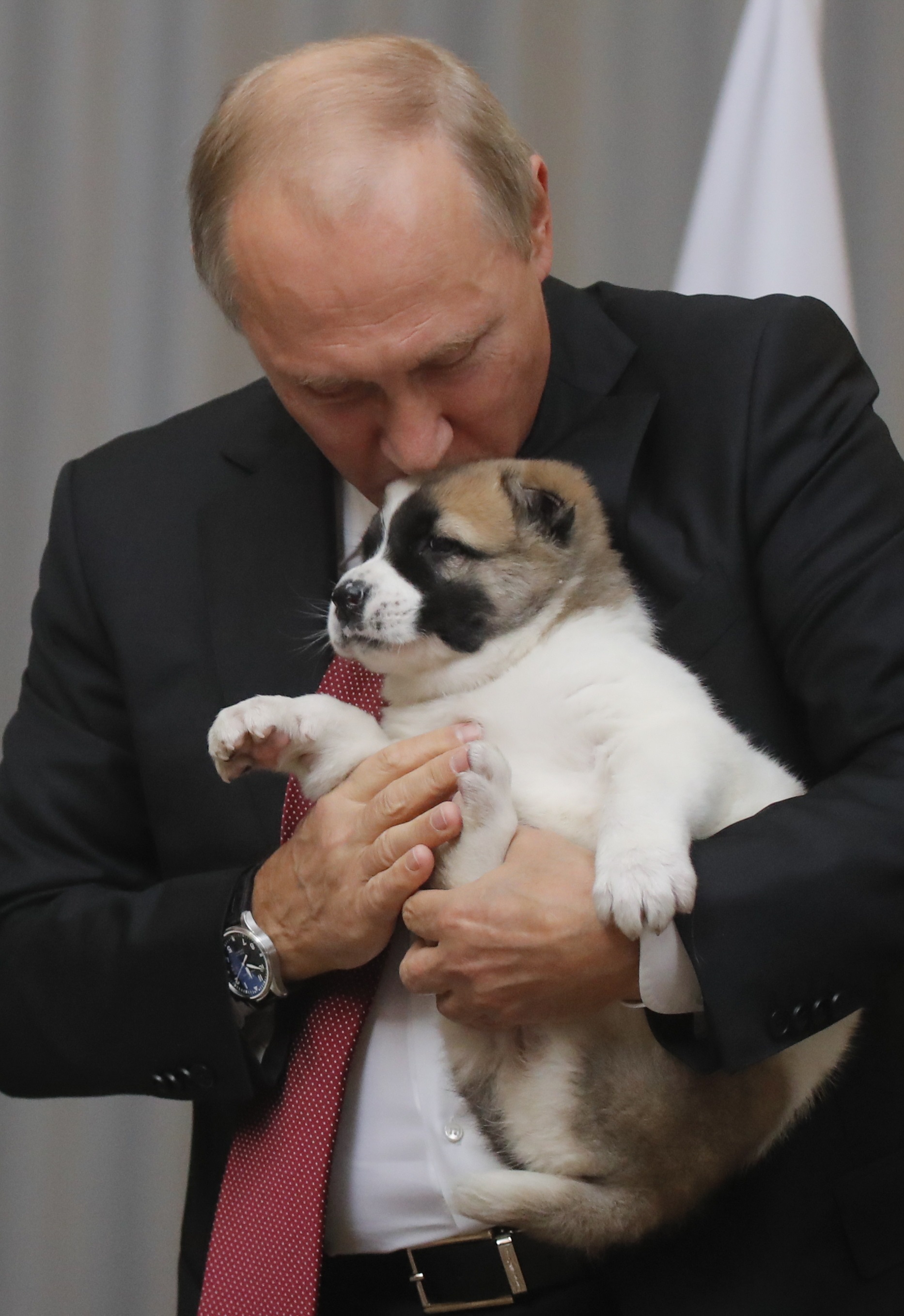 جانب من تقبيل بوتين للكلب