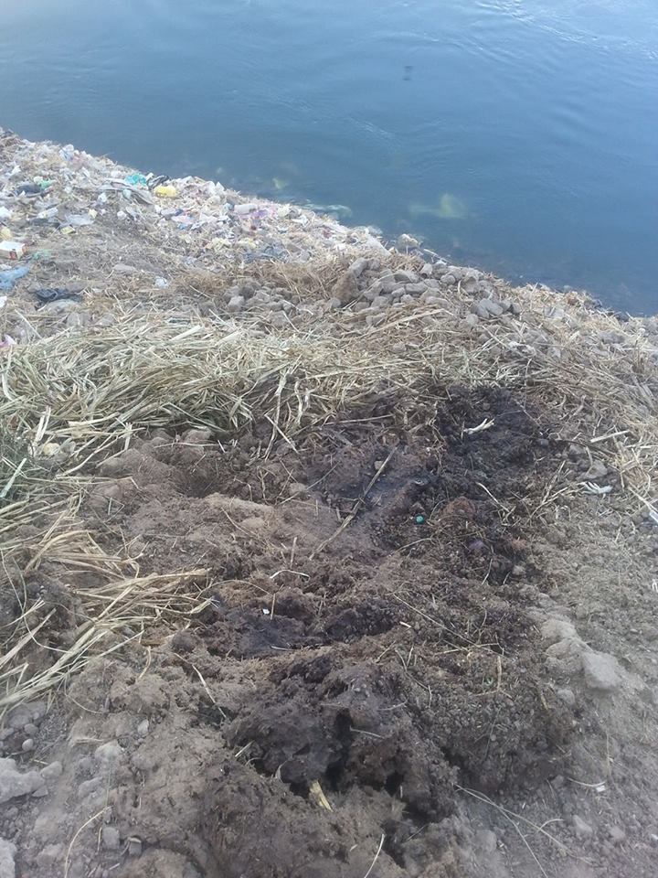 تلوث على مياه النيل