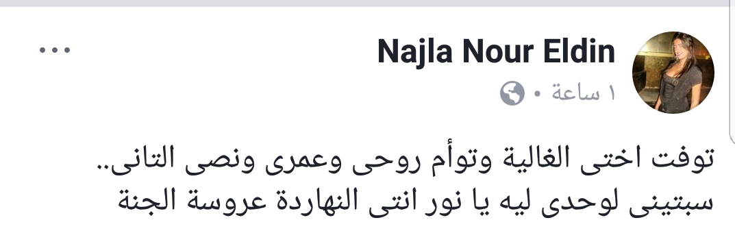 نورلين ونجلا نورلين ونجلا