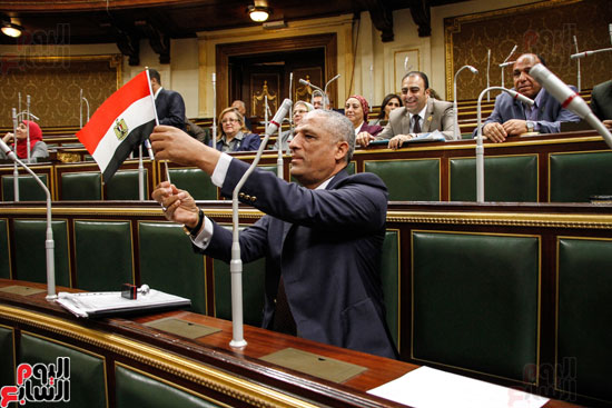 علم مصر يرفرف فى البرلمان (1)