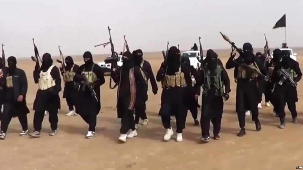 تنظظيم داعش الارهابى