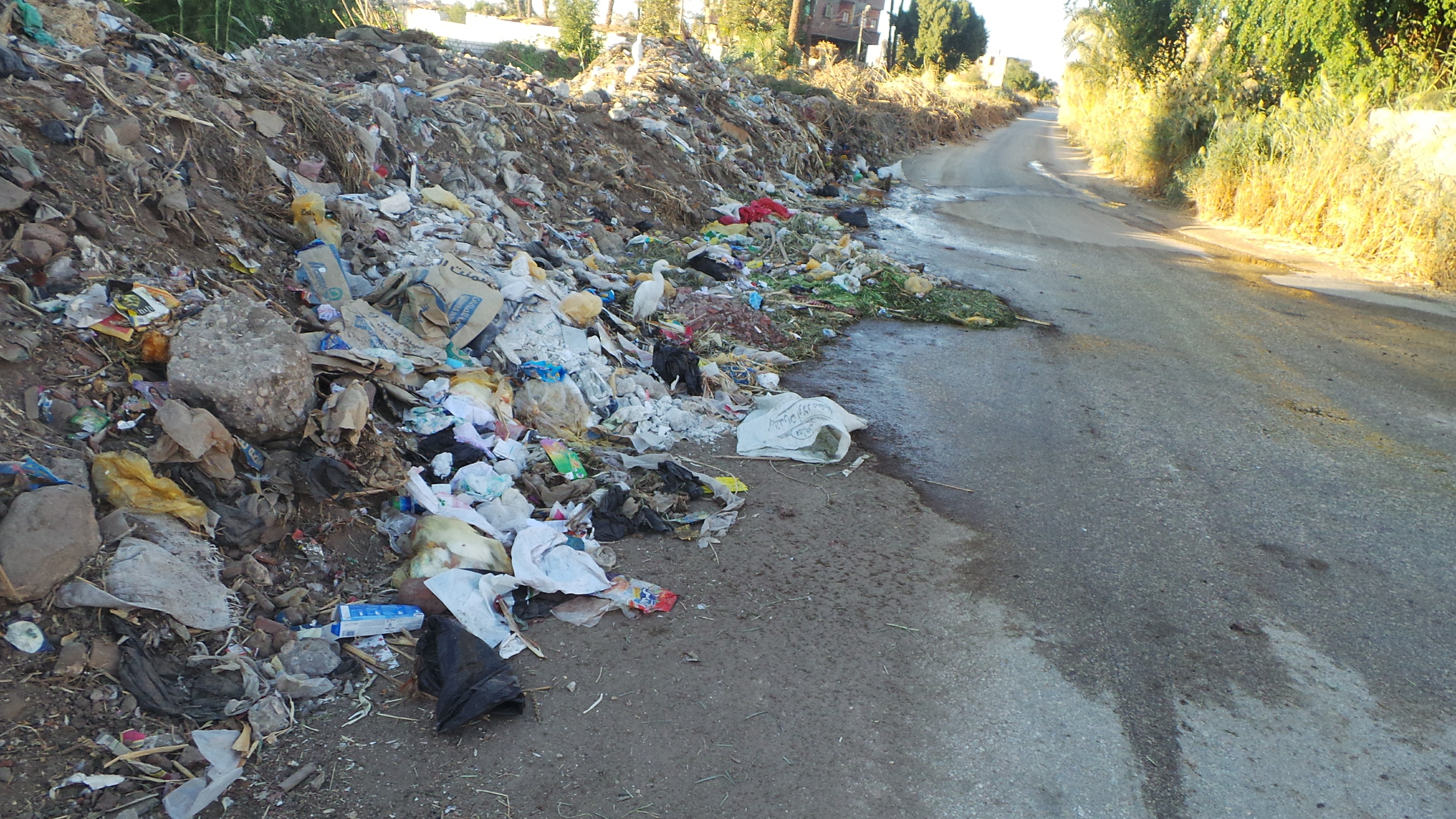  القمامة منتشرة على جوانب الطريق