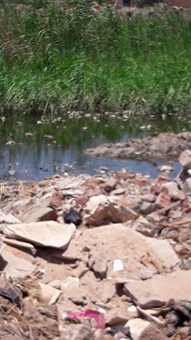 تلوث مياه النيل بسوهاج
