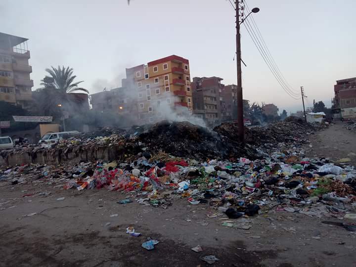 انتشار القمامة بمدخل قرية كفر الحصر بالشرقية (2)