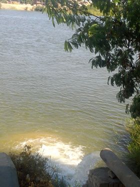 جانب من تلوث النيل