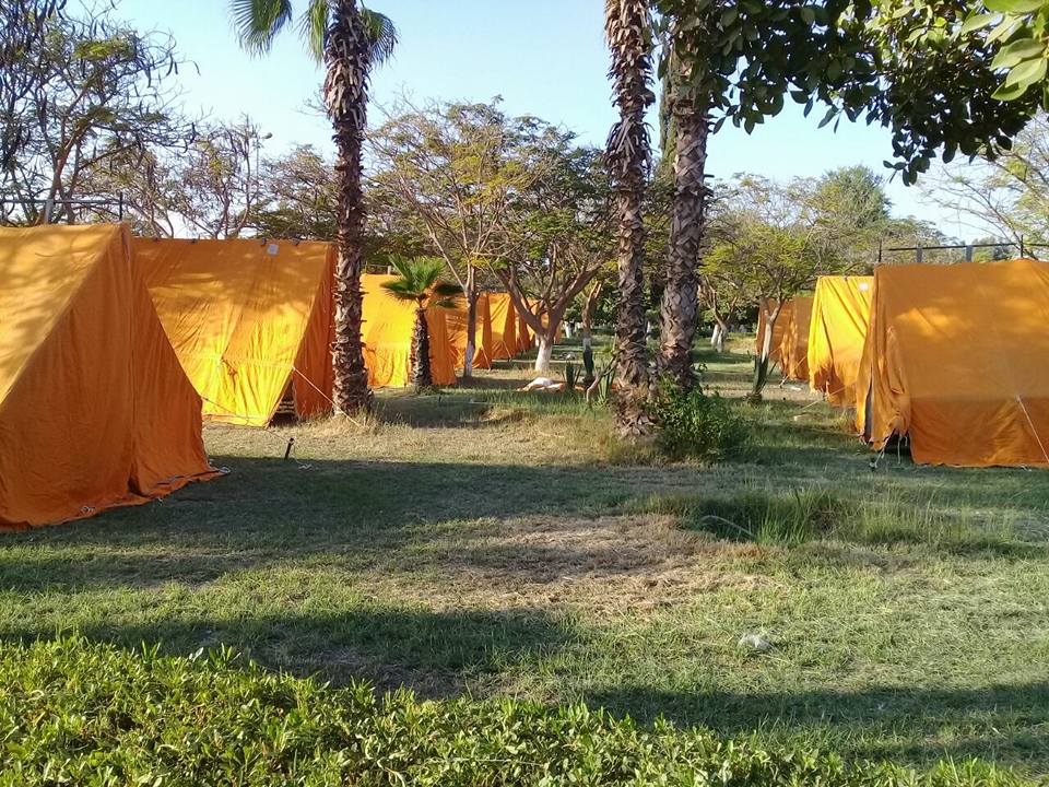   خيام في تجربة معسكر ايواء باسيوط 