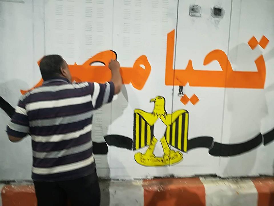 حمله تجميل الشوارع بسوهاج (39)