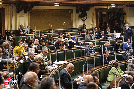 صور الجلسة العامة للبرلمان (18)