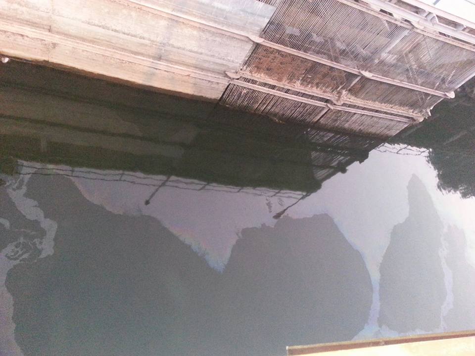 جانب من تفتيت بقع السولار والزيت بنهر النيل (1)