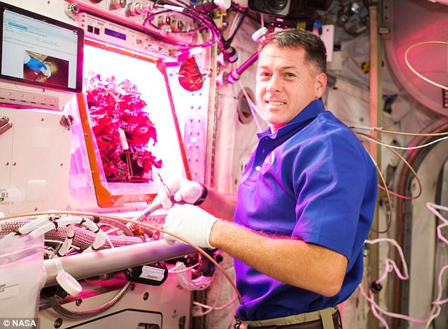 الزراعة على محطة الفضاء