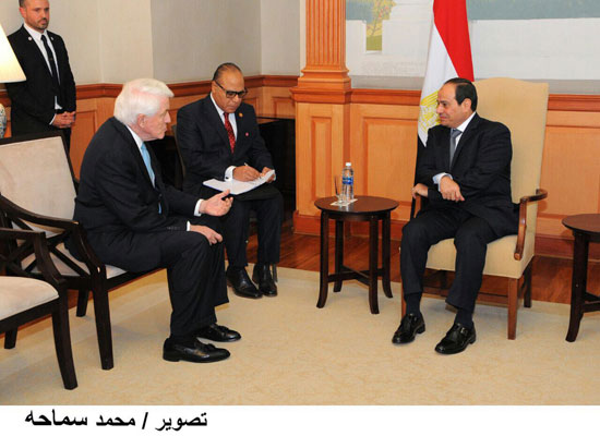 السيسى والمدير التنفيذى لغرفة التجارة الأمريكية توماس دونهيو (5)