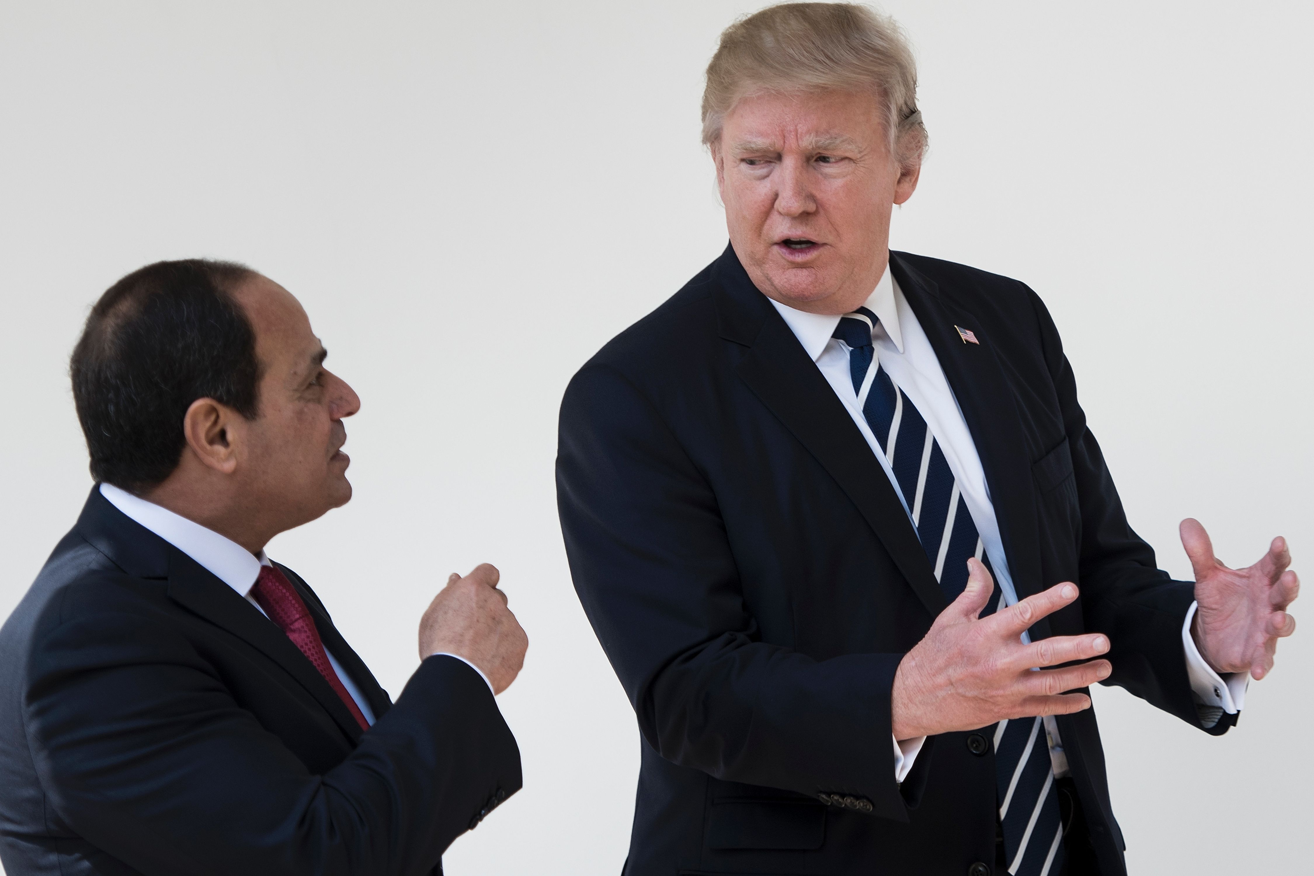 السيسي يتحدث مع ترامب السيسي يتحدث مع ترامب