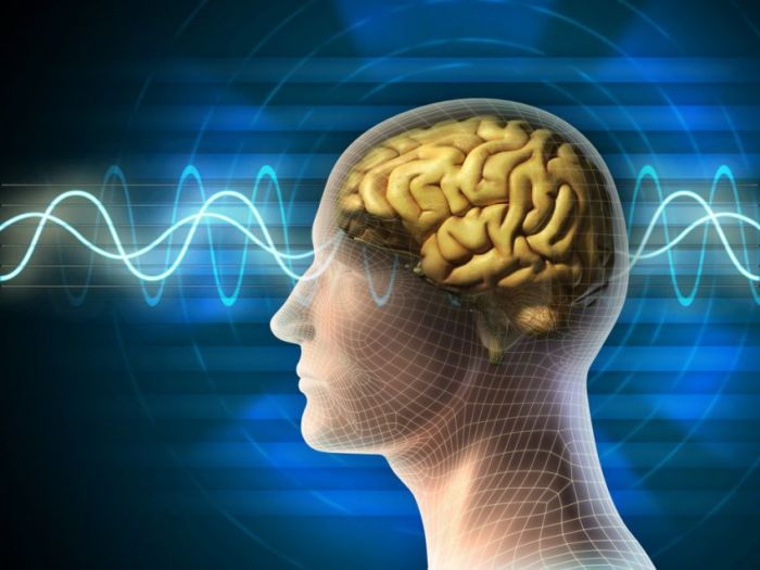 التنفس وتأثيرة على الدماغ التنفس وتأثيرة على الدماغ