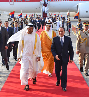 مباحثات السيسى وبن زايد  (6)