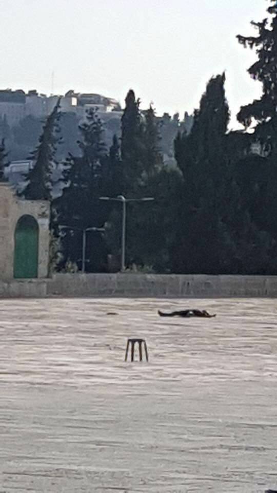 استشهاد أحد الشبان الفلسطيينين برصاص الاحتلال استشهاد أحد الشبان الفلسطيينين برصاص الاحتلال