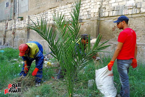 التعاون مع شركة نهضة مصر