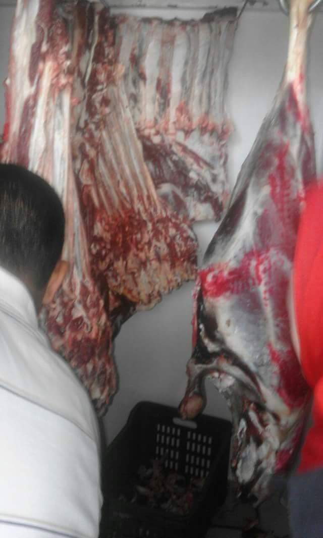 حملات علي مجازر بيع اللحوم بالدقهلية (3)