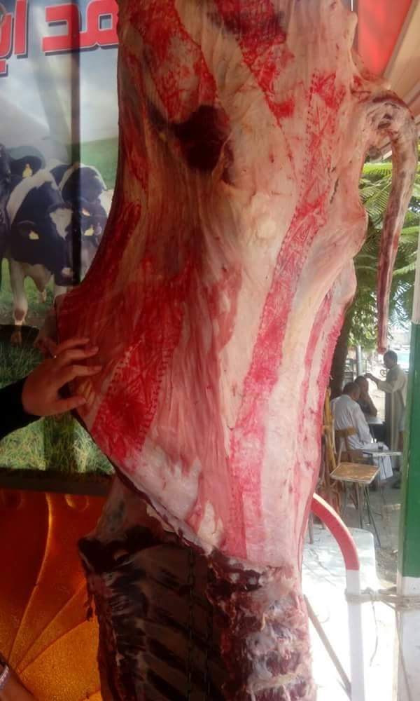 حملات علي مجازر بيع اللحوم بالدقهلية (2)