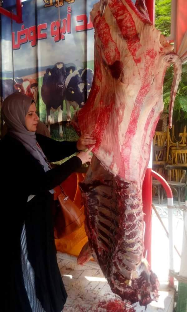 حملات علي مجازر بيع اللحوم بالدقهلية (1)