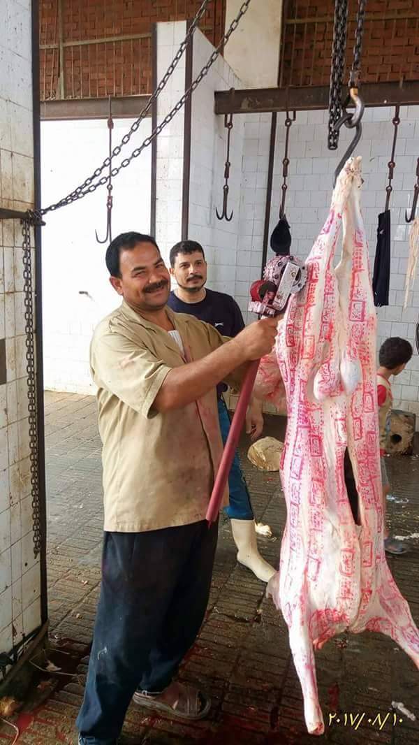 حملات علي مجازر بيع اللحوم بالدقهلية (5)
