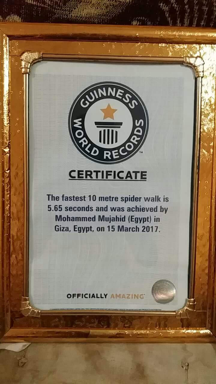 شهادة موسوعة جينيس شهادة موسوعة جينيس