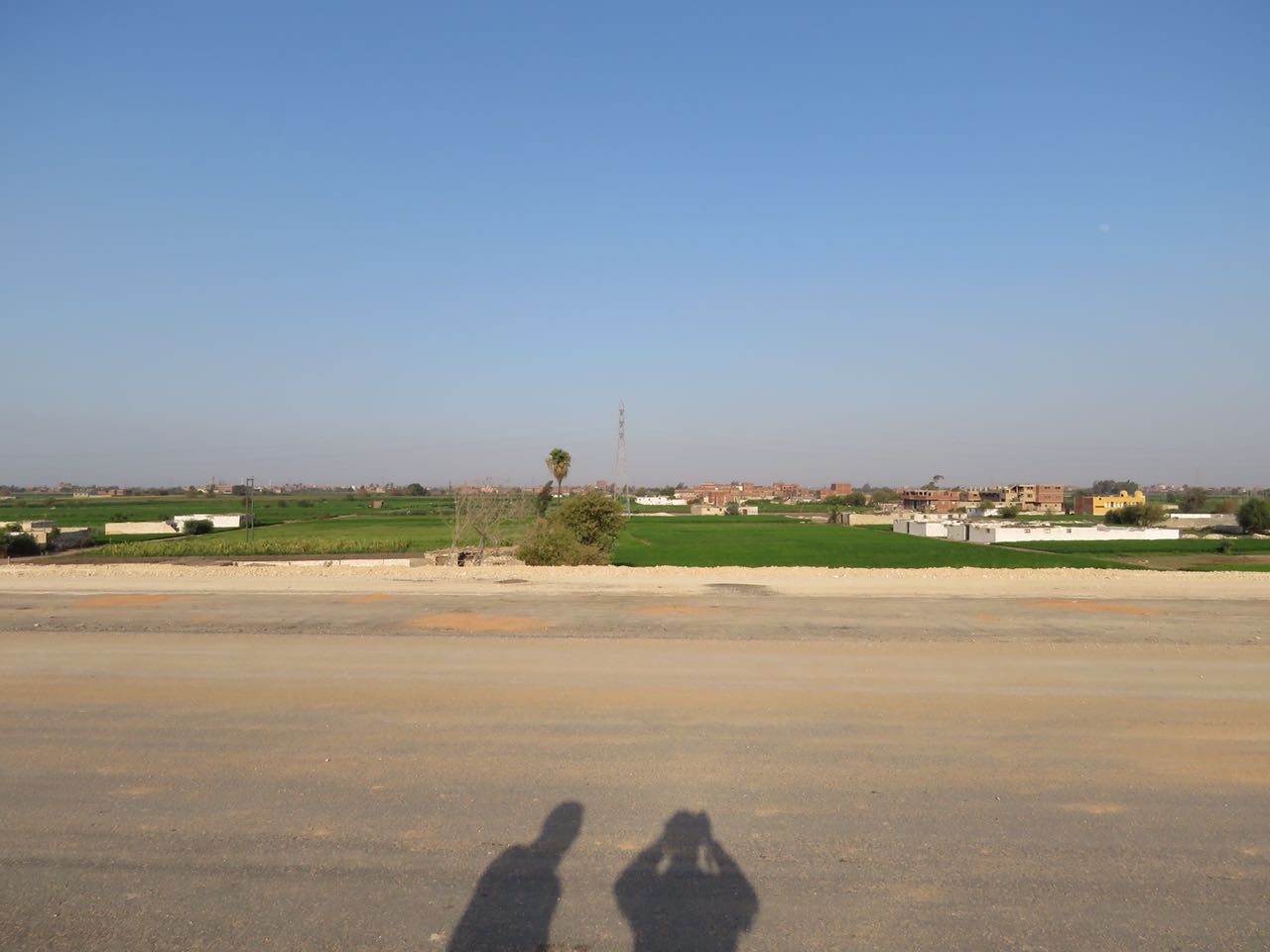 تبوير الأراضى الزراعية حول طريق شبرا ـ بنها الجديد (6)