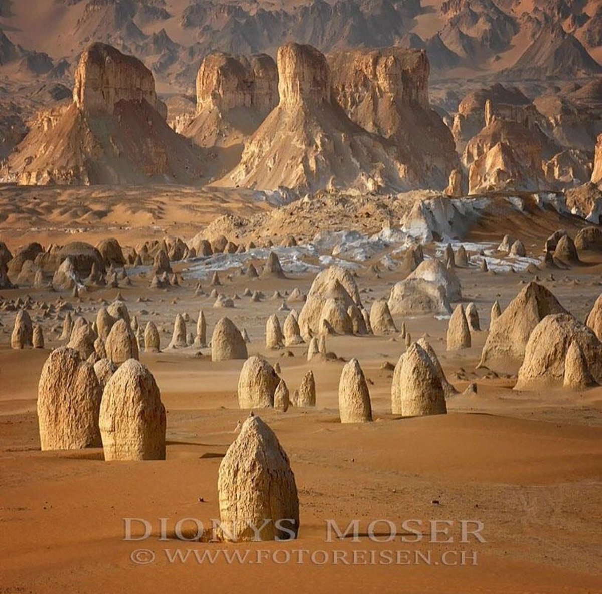 سحر الصحراء الغربية