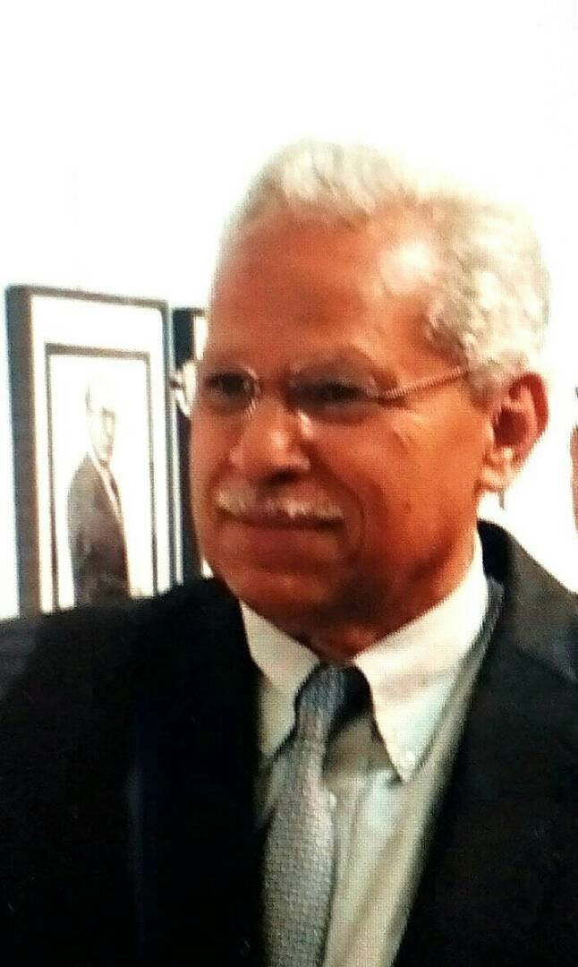 الفن ملوش وطن.. 13 فنانة مصرية تتصدر رسوماتهن art without borders الإيطالى