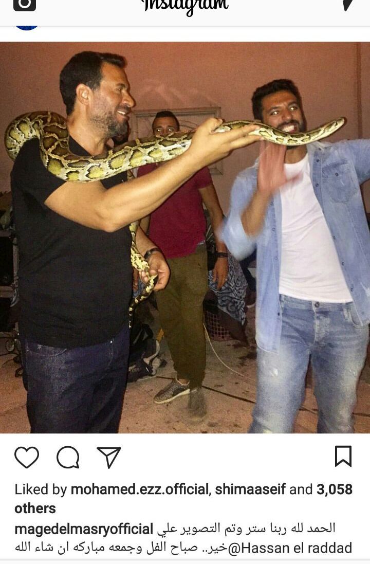 ماجد على انستجرام ماجد على انستجرام