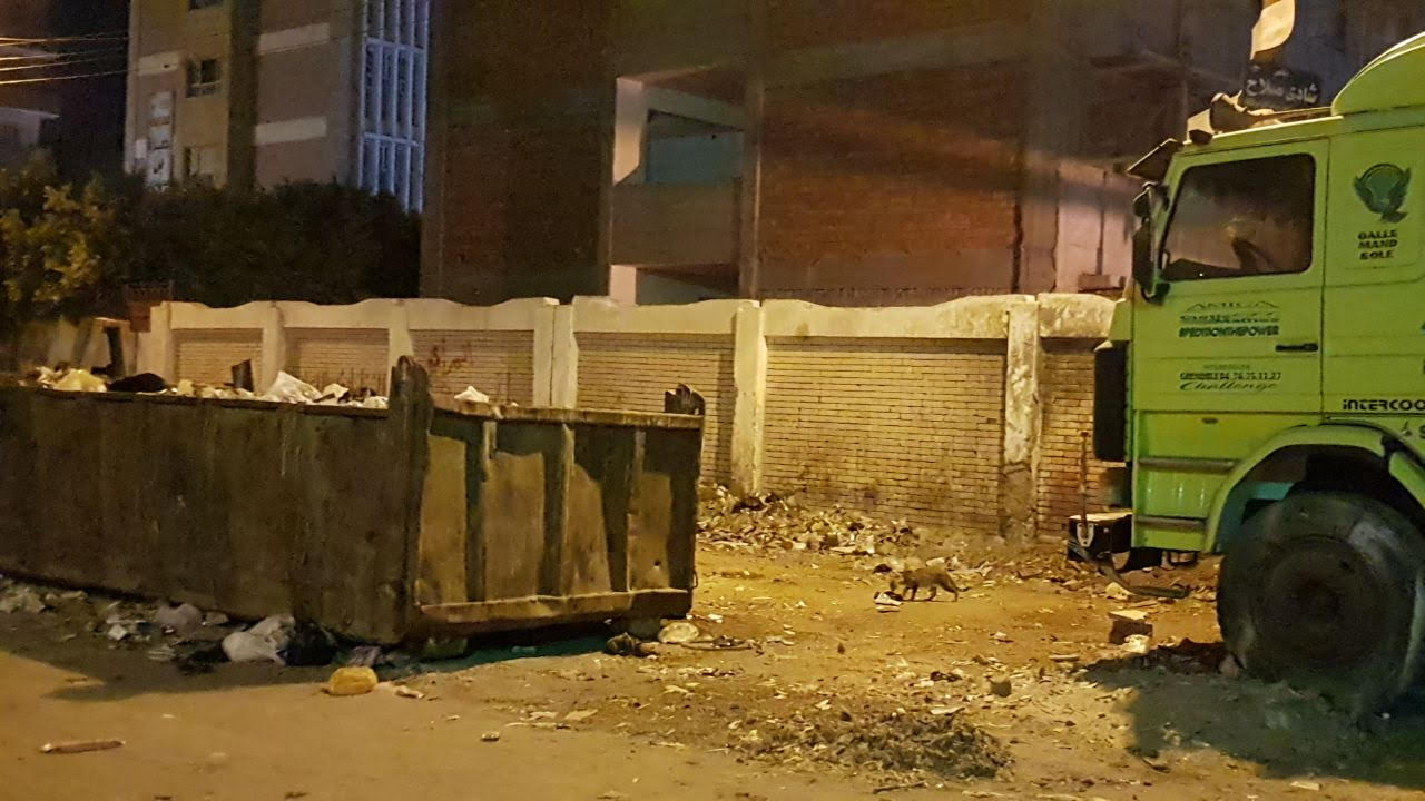  القمامة تحاصر مدارس بنها 