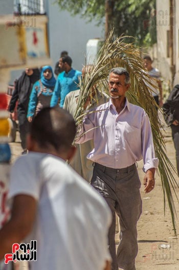 شخص يحمل الجريد ويتجه للمقابر