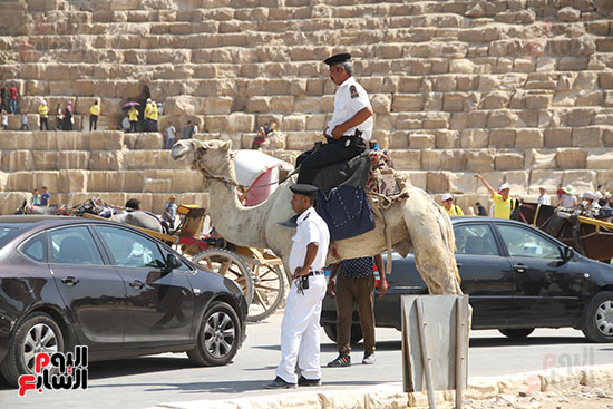 احتفالات المصرين بثانى ايام العيد (8)