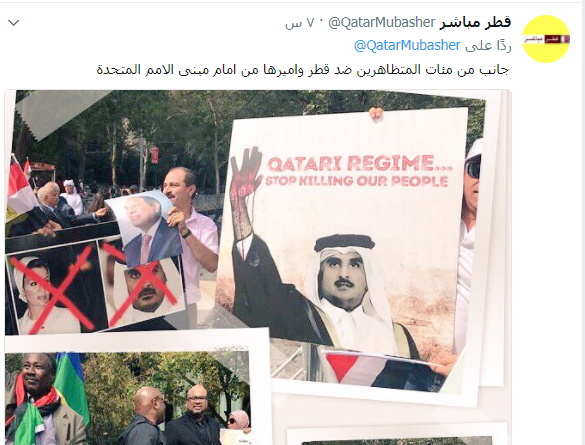 تغريدة قطر مباشر تغريدة قطر مباشر