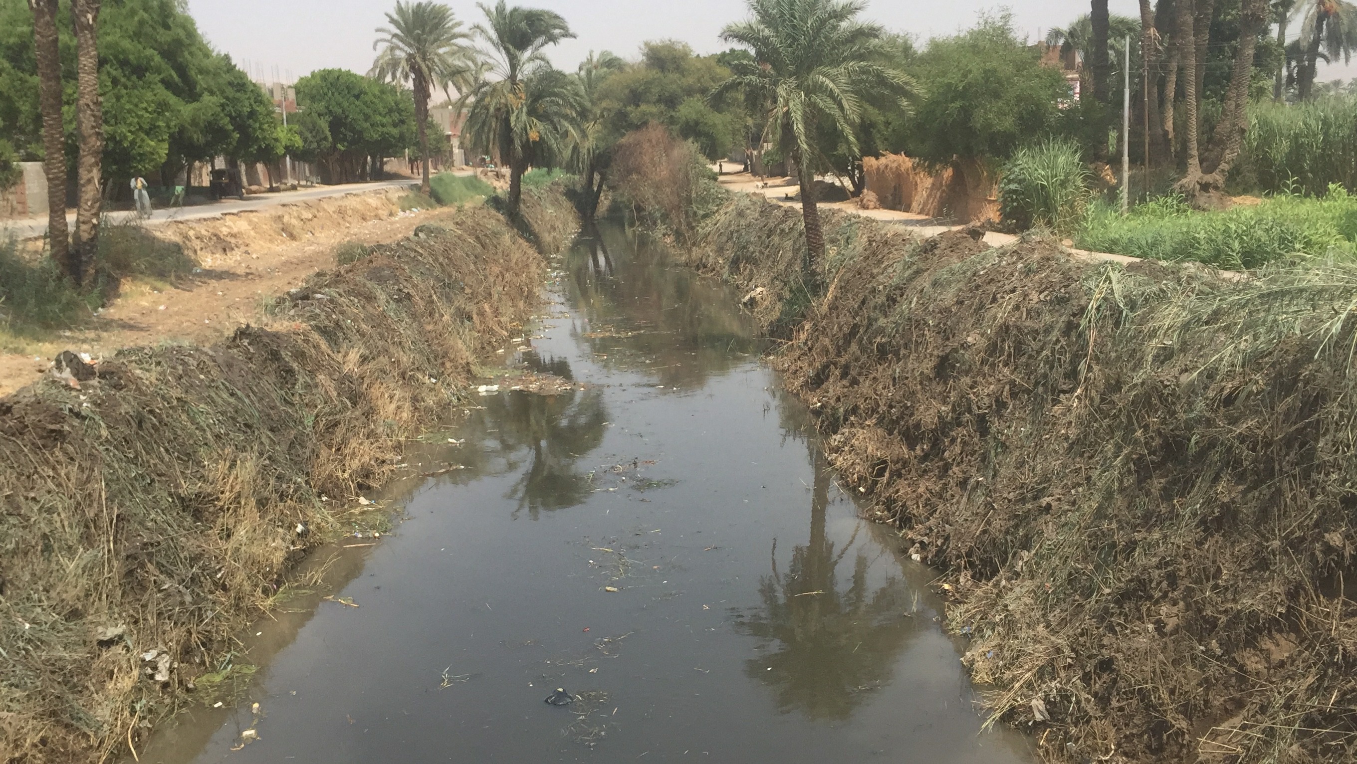  إحدى الترع بعد تطهيرى جانبيها