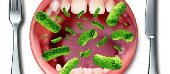 بكتيريا الفم