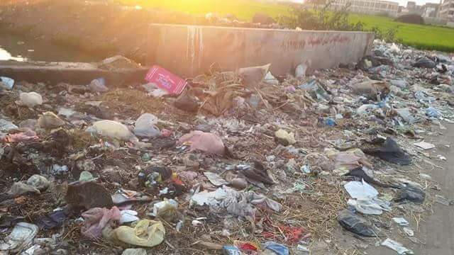 القمامة فى قرية ميت عدلان بالدقهلية