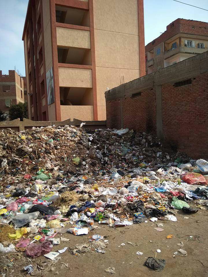 القمامة تحاصر مدرسه بلتان بطوخ (1)