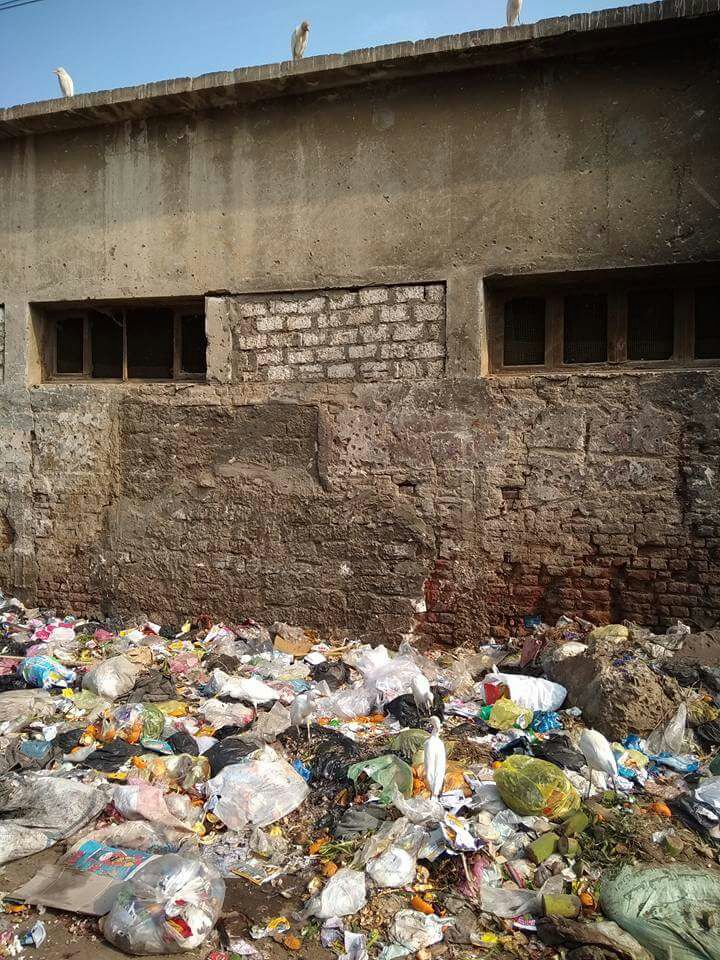 القمامة تحاصر مدرسه بلتان بطوخ (2)
