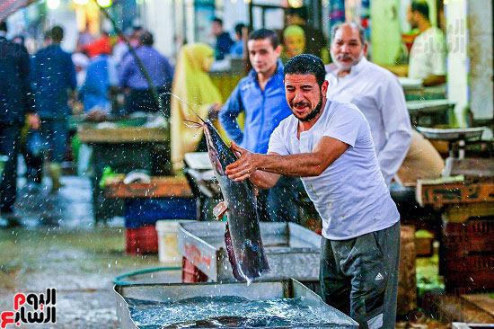 تصوير حسين طلال تصوير حسين طلال