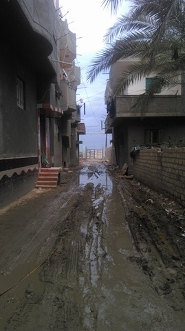 مياه الصرف فى شوارع القرية  (2)