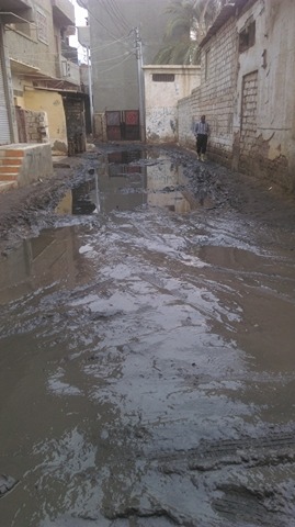 مياه الصرف فى شوارع القرية  (4)