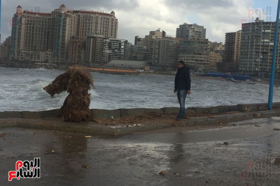 سلفى المواطنين فى الاسكندرية (6)