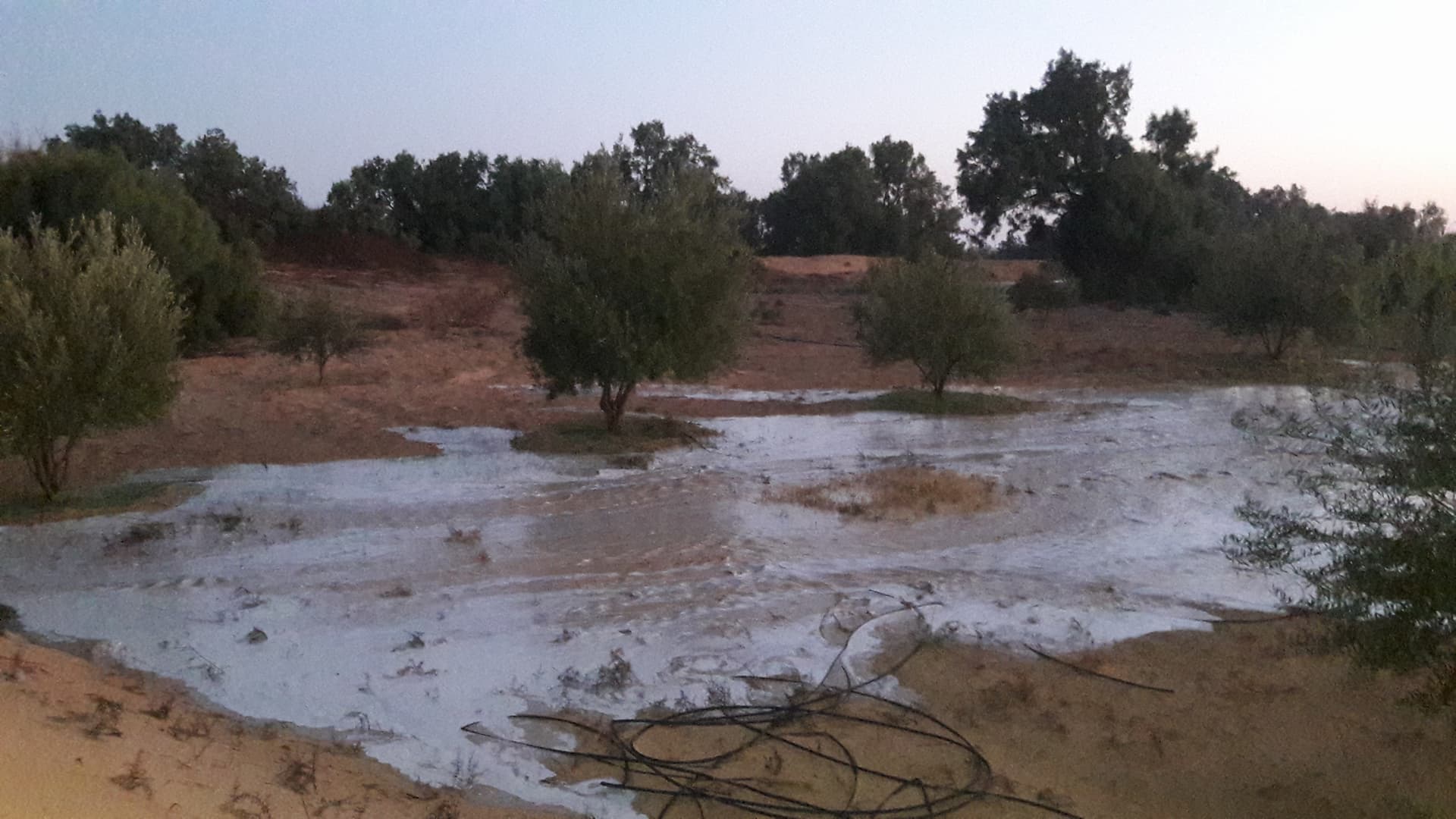 سيول (1)