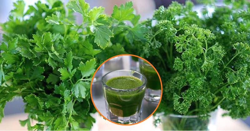 cilantro-parsley-juice