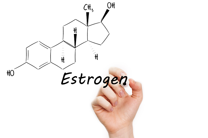 5.-Estrogen